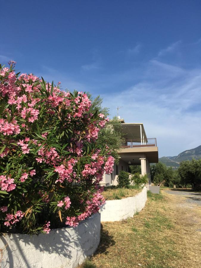 Tatil Evi My Olive Tree House Kalamata